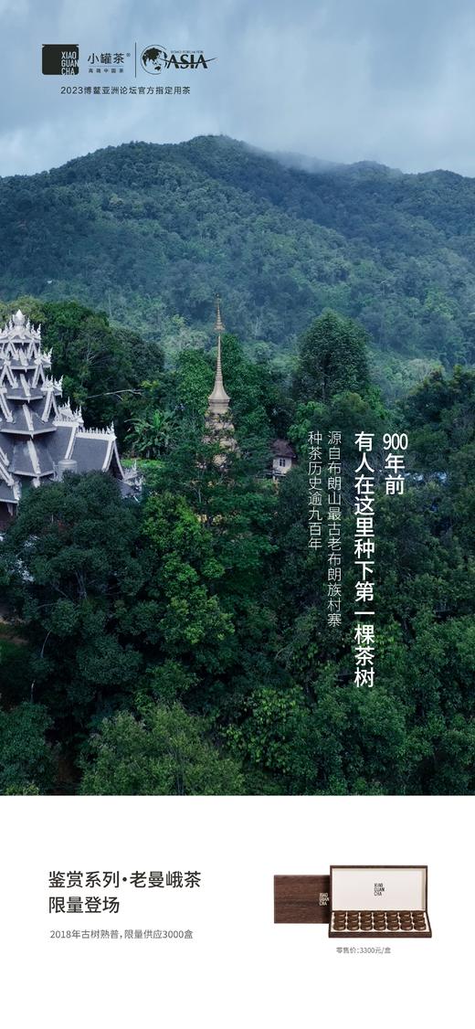 小罐茶 鉴赏系列2023年咖罐21罐装老曼峨 商品图1