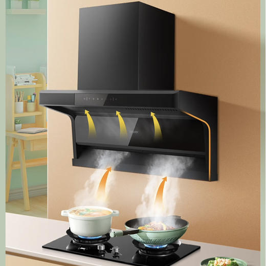 统帅（Leader）烟机  CXW-298-IQ92D 海尔出品 商品图6