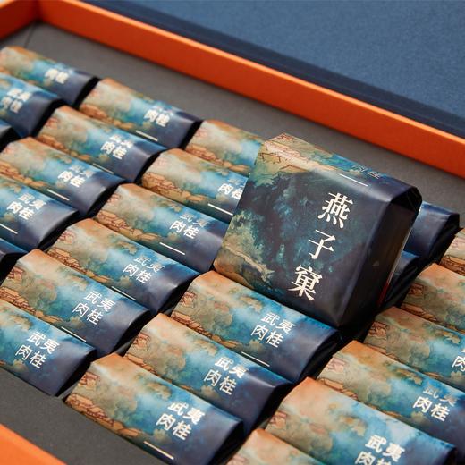 燕子窠肉桂  福建武夷山燕子窠生态茶园  武夷肉桂 商品图1