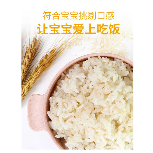 有机整粒原胚米400g 商品图3
