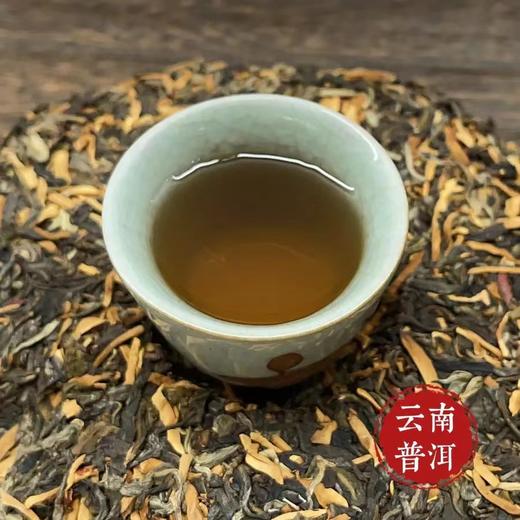 【浙大食用菌研究中心研发】灵芝普洱茶-百年普洱-生茶茶饼357g 商品图3