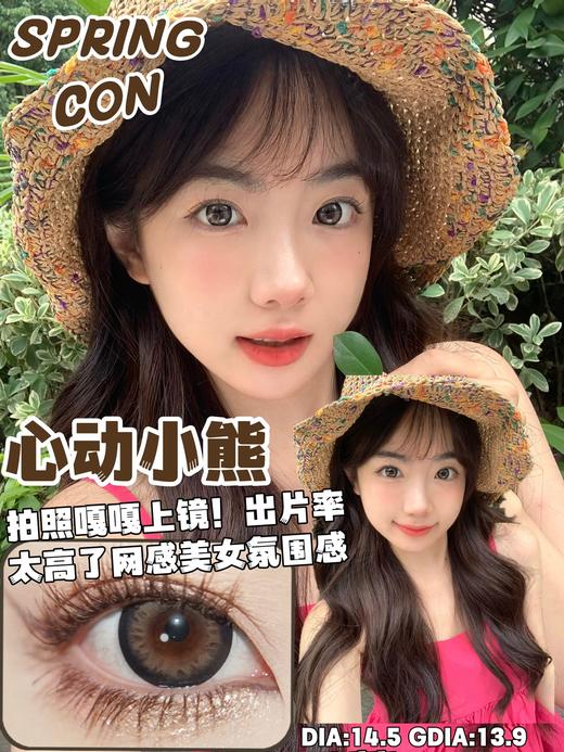 springcon 心动小熊 棕/迷失小鹿 灰 14.5mm 年抛 含硅水凝胶 商品图0