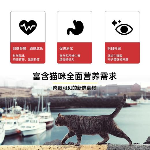 官方orijen渴望百利小李子猫罐头主食罐幼成猫营养补水进口猫湿粮 商品图2