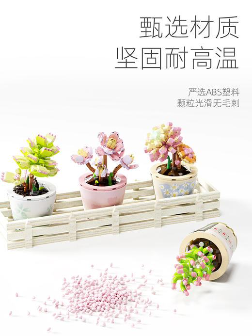 月光社愈见肉肉屋系列吸财树804207 商品图3