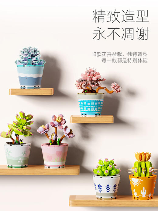 月光社愈见肉肉屋系列吸财树804207 商品图1