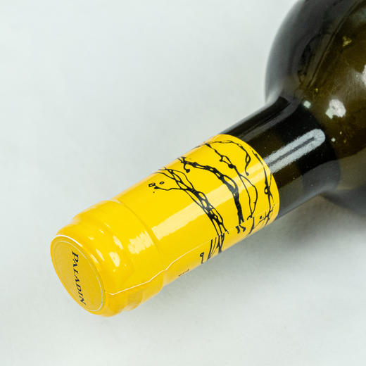 意大利进口 帕拉丁酒庄750ml帕里斯进口白葡萄酒PLSB-1 商品图5