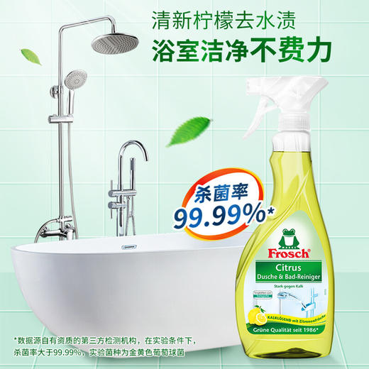 Frosch卫浴清洁喷剂500ml+便器清洁剂750ml【伊藤优选302209】 商品图1