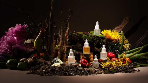 【德化非遗丨手捏瓷花香氛】传统工艺和香氛精油的巧妙融合！可以当做摆件/放置茶室/书房等，增添风雅之气！有5种香型可选！【DZ-J仓】 商品图3