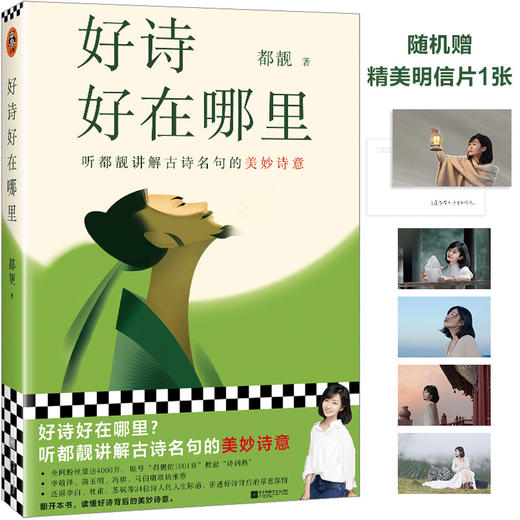 好诗好在哪里（听都靓讲解古诗名句的美妙诗意！知名文化博主都靓原创文学随笔！李敬泽、骆玉明、冯唐、马伯庸推荐！） 商品图0
