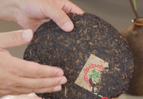 守艺茶课堂 | 老茶品鉴