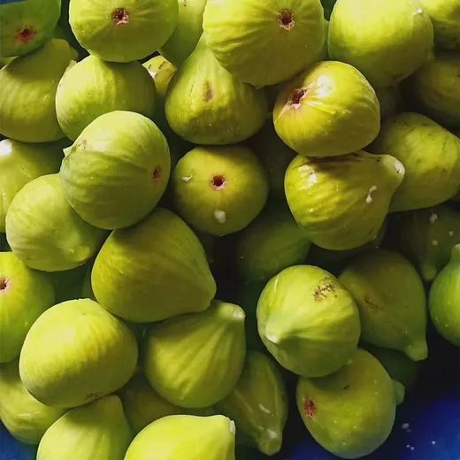 生态无花果 商品图2