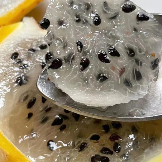 辽宁丹东特级大果奇异莓1.25kg礼盒+北美9.0ROW车厘子特典礼盒+海南燕窝果（中果8粒装）【SZCT8.0】 商品图3