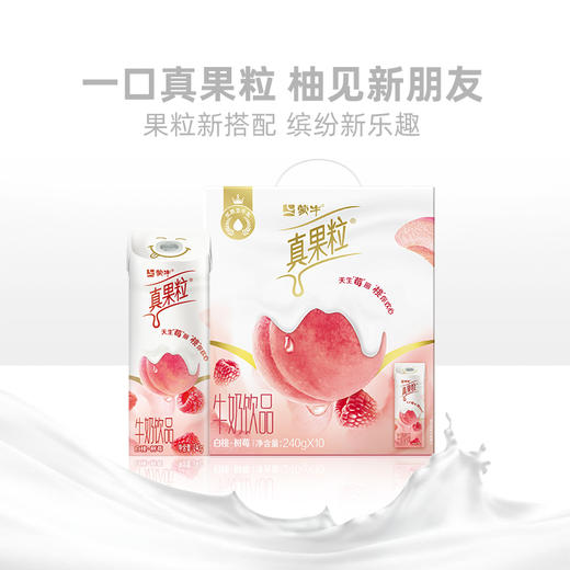 真果粒 白桃树莓味牛奶饮品240g*10 多重味蕾惊喜 5天内发货 商品图0