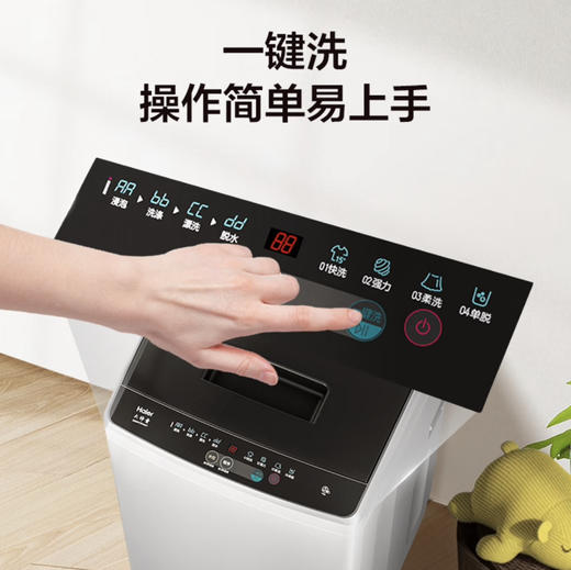 海尔（Haier）洗衣机EB80M10Mate1 商品图3