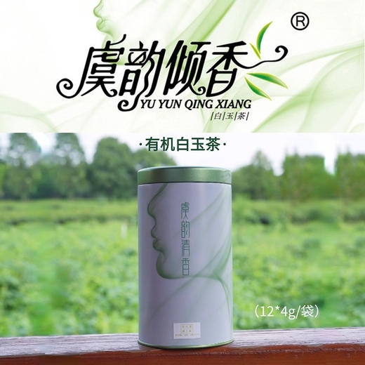 虞韵倾香有机白玉茶48g家庭装 商品图1