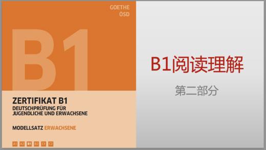 B1 Leseverstehen - 2 商品图0