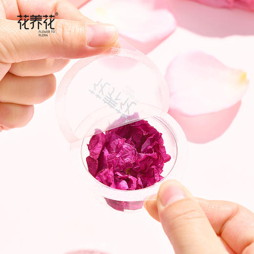 【买1送2】花养花 冻干玫瑰鲜花茶礼盒！买就送玫瑰花茶+花茶杯！ 商品图7