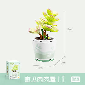 月光社愈见肉肉屋系列熊童子804205