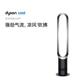 1楼戴森(Dyson)塔式无叶风扇AM07
