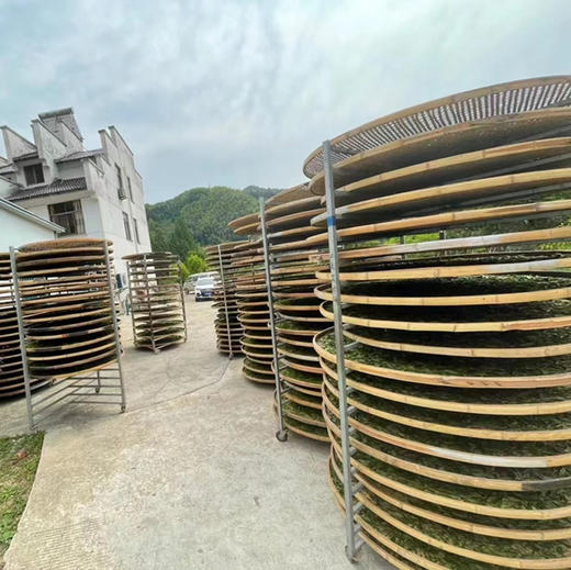 厂家清库！【太平魁红】花香红茶/太平猴魁茶树品种（柿大茶）制成/专利产品100g/罐 商品图3