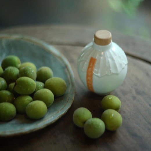 〔泰州直发包邮09〕五年陈酿梅子酒 / 桂花米酒 商品图1