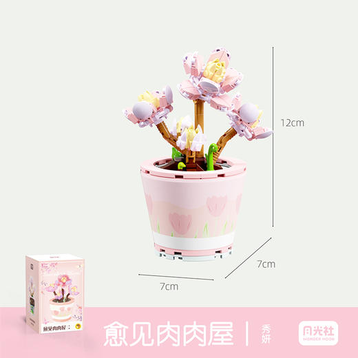 月光社愈见肉肉屋系列秀妍804206 商品图0