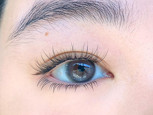 Pisircon 姐姐灰 日抛 十片 14.2mm 参考着色 13.6mm 基弧 8.5 含水 40% 新锐国货 商品图3