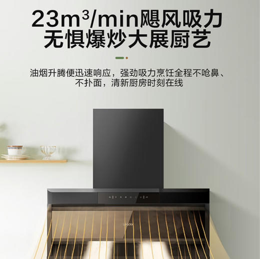 统帅（Leader）烟机  CXW-298-IQ92D 海尔出品 商品图9