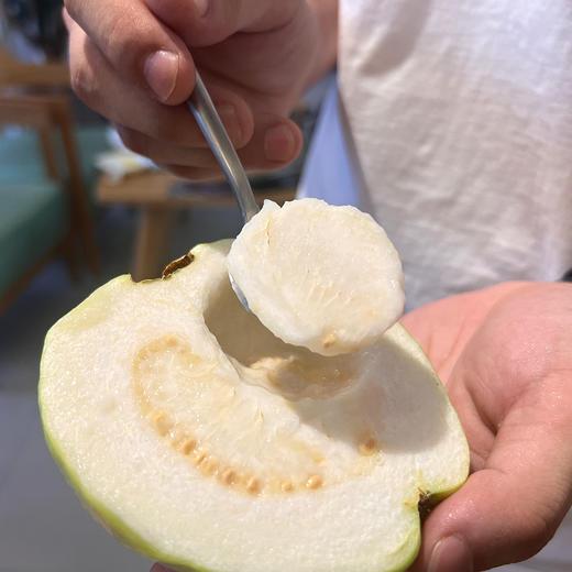 『福建老树奶油芭乐』白玉芭乐+红心芭乐，丝滑细腻，甜美软糯，芳香四溢 商品图8