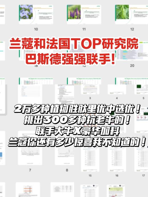 Lancome/兰蔻新款塑颜百肽霜50ml 提拉紧致提亮肤色雪花霜 商品图3