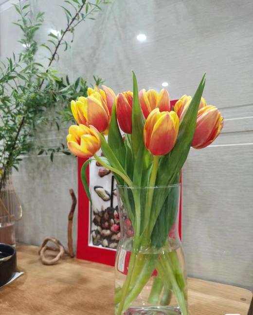 国产郁金香 | 丹麦 商品图5