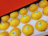 爱妃香橙一箱 商品缩略图1