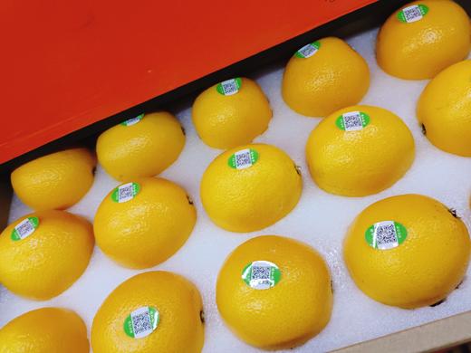 爱妃香橙一箱 商品图1