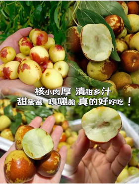 周二配送！大荔冬枣，特级果，产地直供，日食三枣🌹青春不老哟！1.5斤/盒