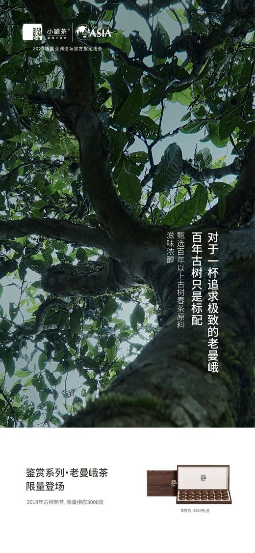 小罐茶 鉴赏系列2023年咖罐21罐装老曼峨 商品图2