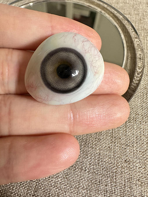 Pisircon 熊猫眼眼 日抛 十片 14.5mm 参考着色 13.9mm 基弧 8.5 含水 40% 新锐国货 商品图4