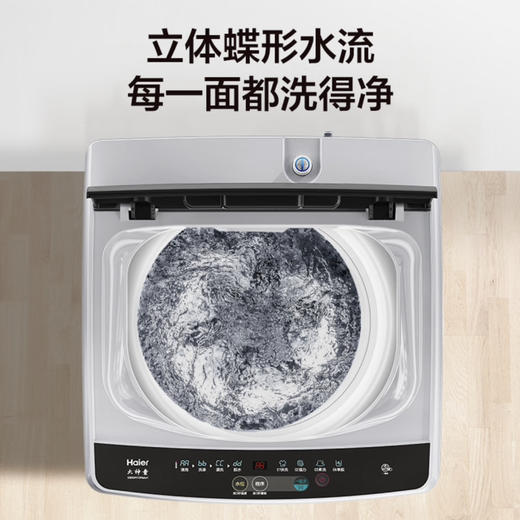 海尔（Haier）洗衣机EB80M10Mate1 商品图2
