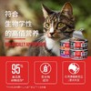 官方orijen渴望百利小李子猫罐头主食罐幼成猫营养补水进口猫湿粮 商品缩略图1