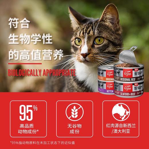 官方orijen渴望百利小李子猫罐头主食罐幼成猫营养补水进口猫湿粮 商品图1