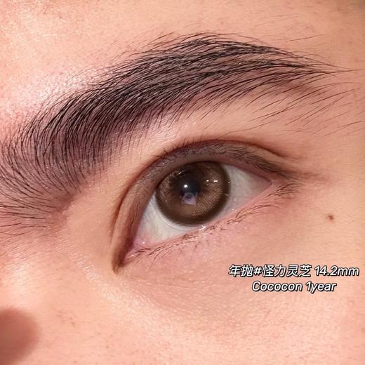 Cococon单款-怪力灵芝 商品图2