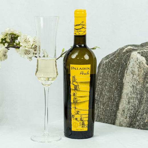 意大利进口 帕拉丁酒庄750ml帕里斯进口白葡萄酒PLSB-1 商品图0