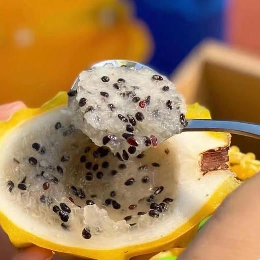 辽宁丹东特级大果奇异莓1.25kg礼盒+北美9.0ROW车厘子特典礼盒+海南燕窝果（中果8粒装）【SZCT8.0】 商品图4