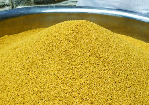 王金庄梯田生态小米 |  传统老品种，生态管理 | 味醇香甜，纯正原味 商品图0