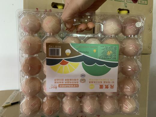 【到店自提】广生元农家新鲜鸡蛋纸托装30枚  需一天时间备货     自提点：佛冈石角镇振兴中路217号-竹山粉葛产业振兴运营中心 商品图7