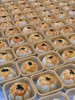 蛋黄酥（提前半天预约） 商品缩略图0