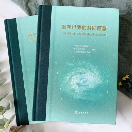 数字世界的共同愿景——全球智库论携手构建网络空间命运共同体 中国网络空间研究院 新华社研究院 中国国际问题研究院 编著 商务印书馆 商品图1