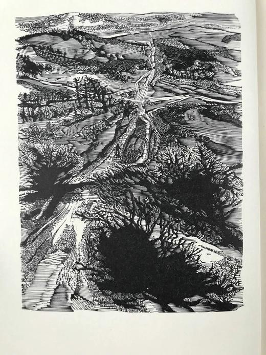 托马斯·哈代《还乡》（1972） 数十幅木版画插图 精装18开带书匣 商品图4
