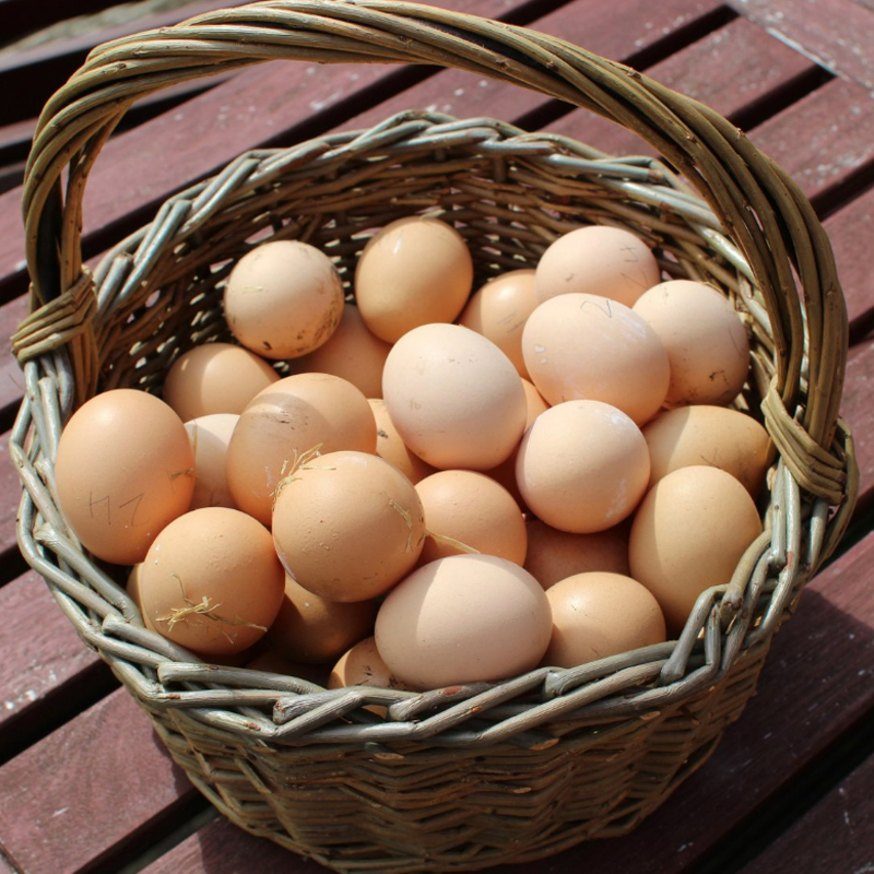 有机山鸡蛋  30枚/40枚/箱
