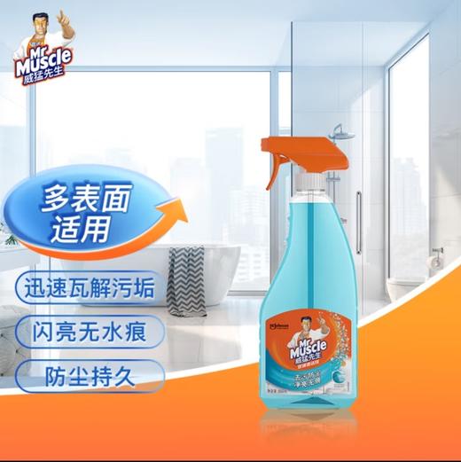 威猛先生玻璃清洁剂500g 商品图0