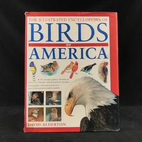 美国鸟类图解百科全书 500余幅彩色插图 精装大16开